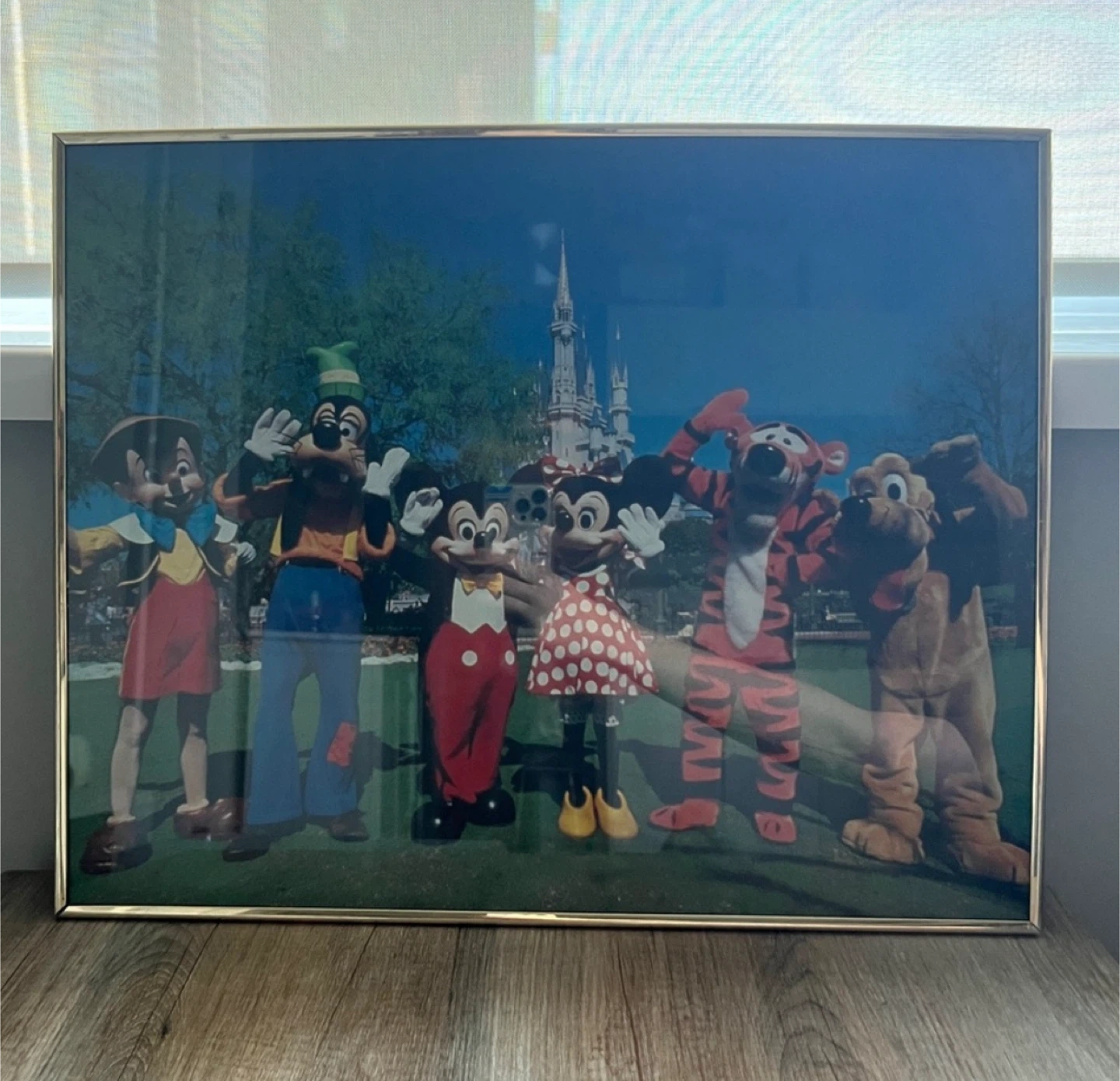 Vintage Framed Disney Parks Mickey Art