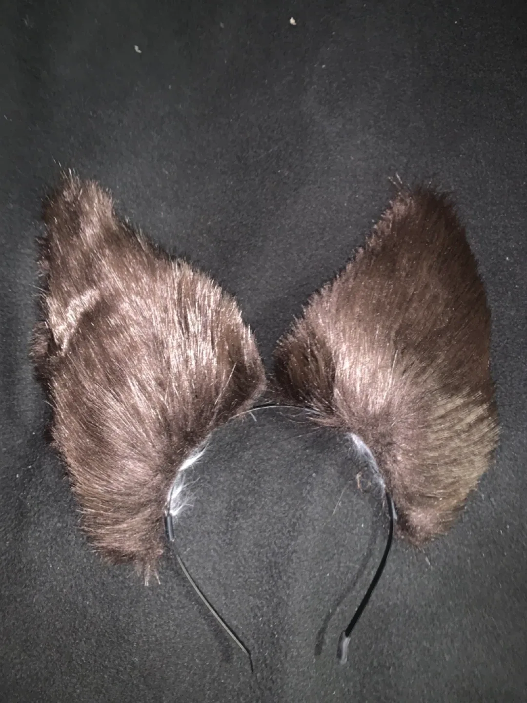 Fox Ears and Tail image indicator(3)