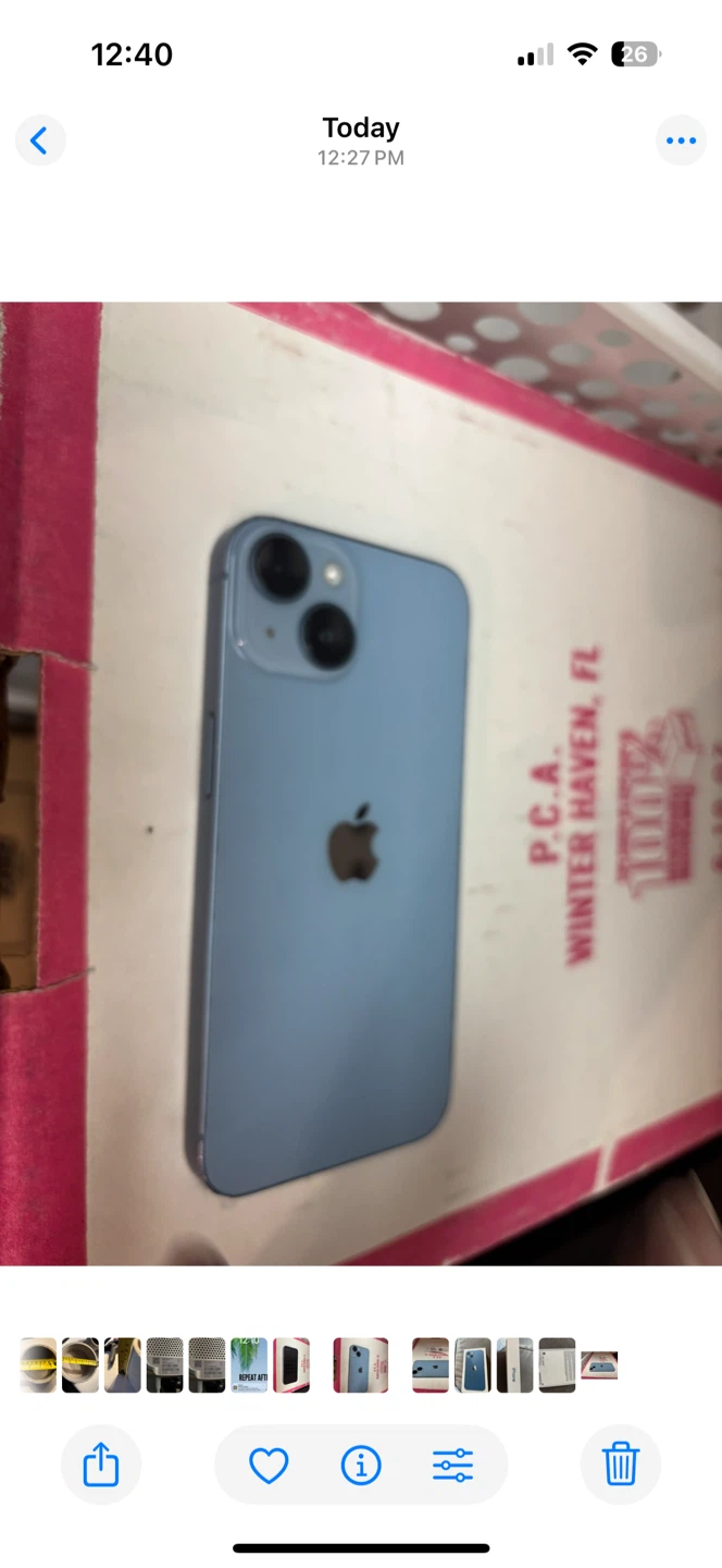 Apple iPhone 13 Blue