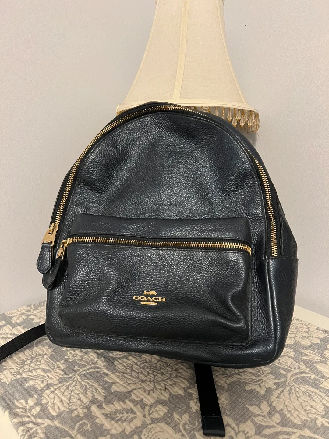 Coach Leather Navy Backpack