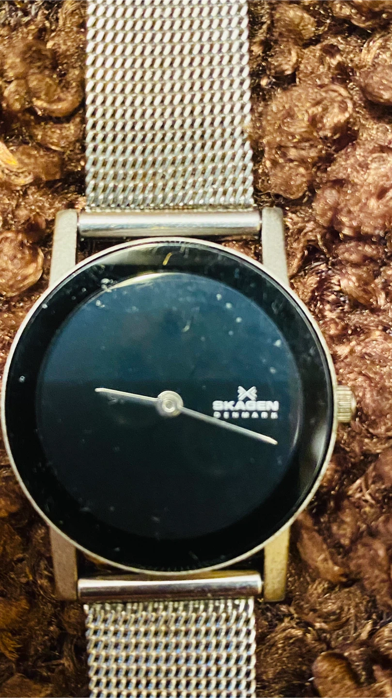 Skagen Denmark Watch