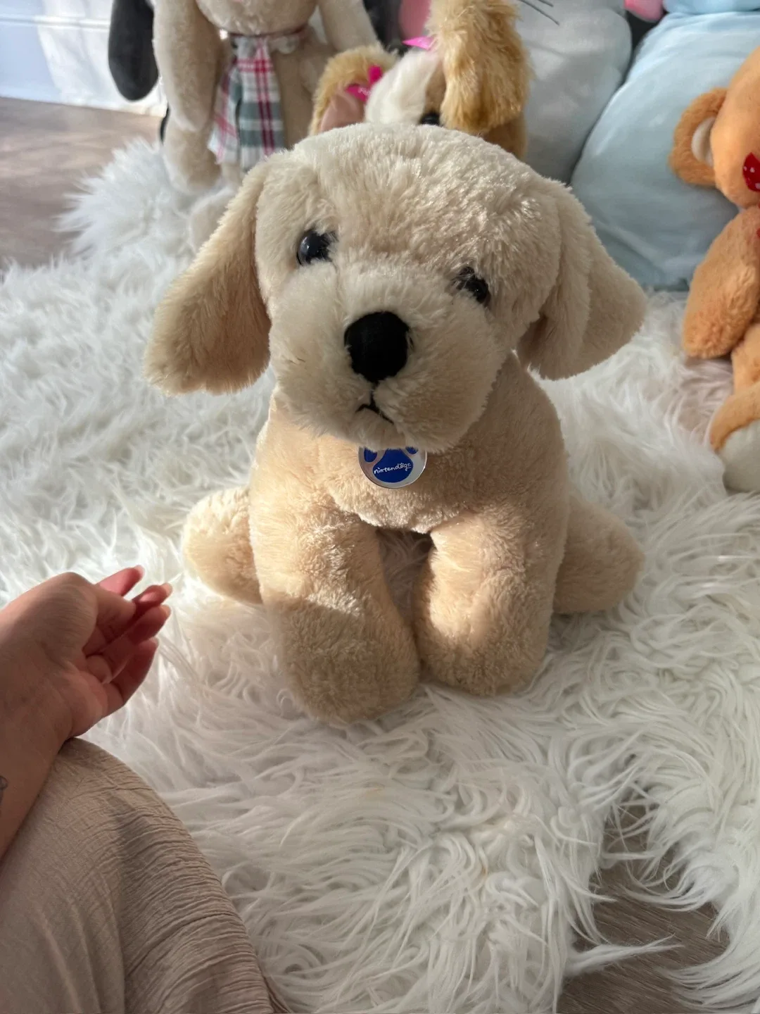 Assorted Plush Toys - Teddy Bears, Animals image indicator(5)