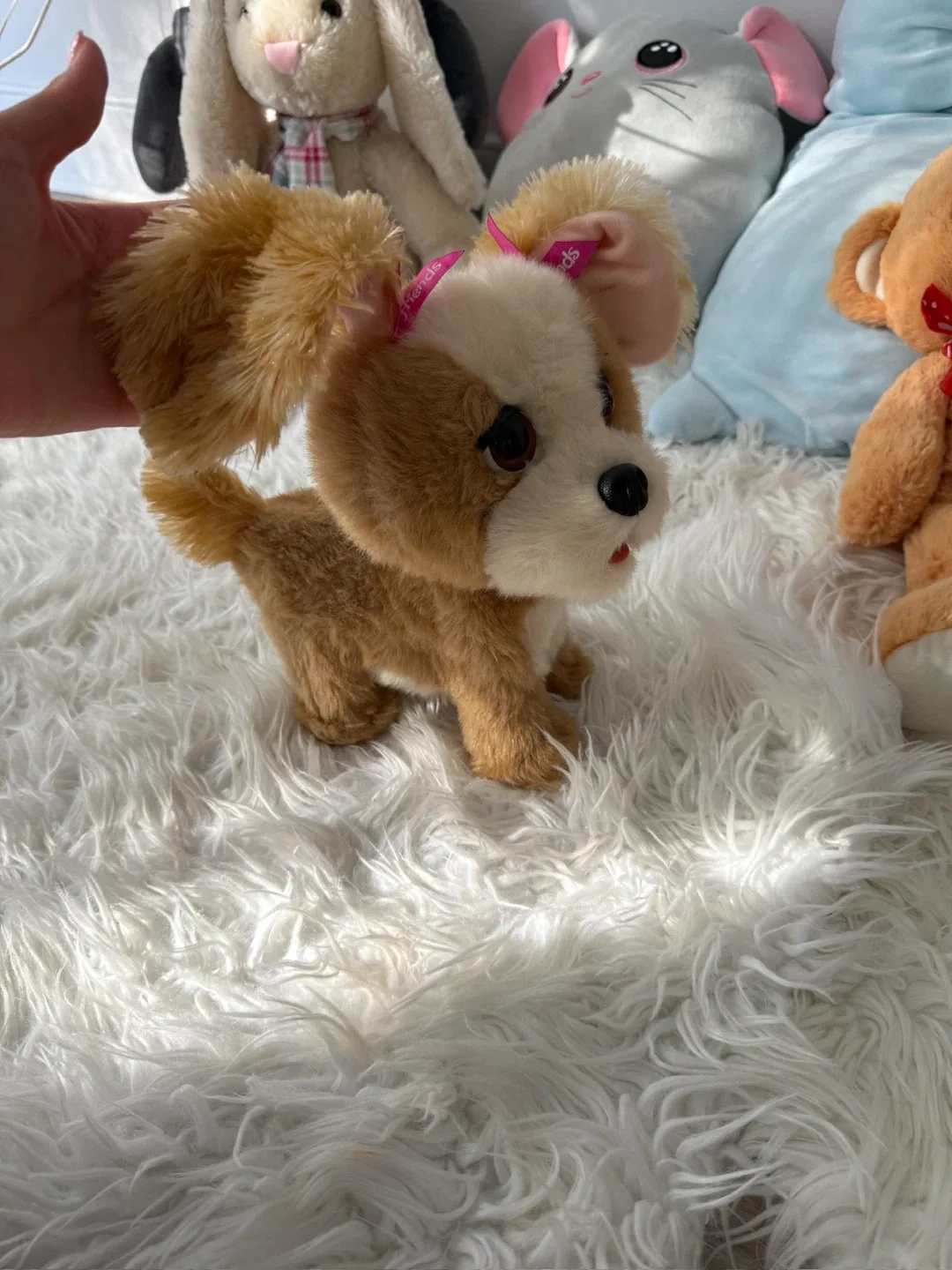 Assorted Plush Toys image indicator(5)