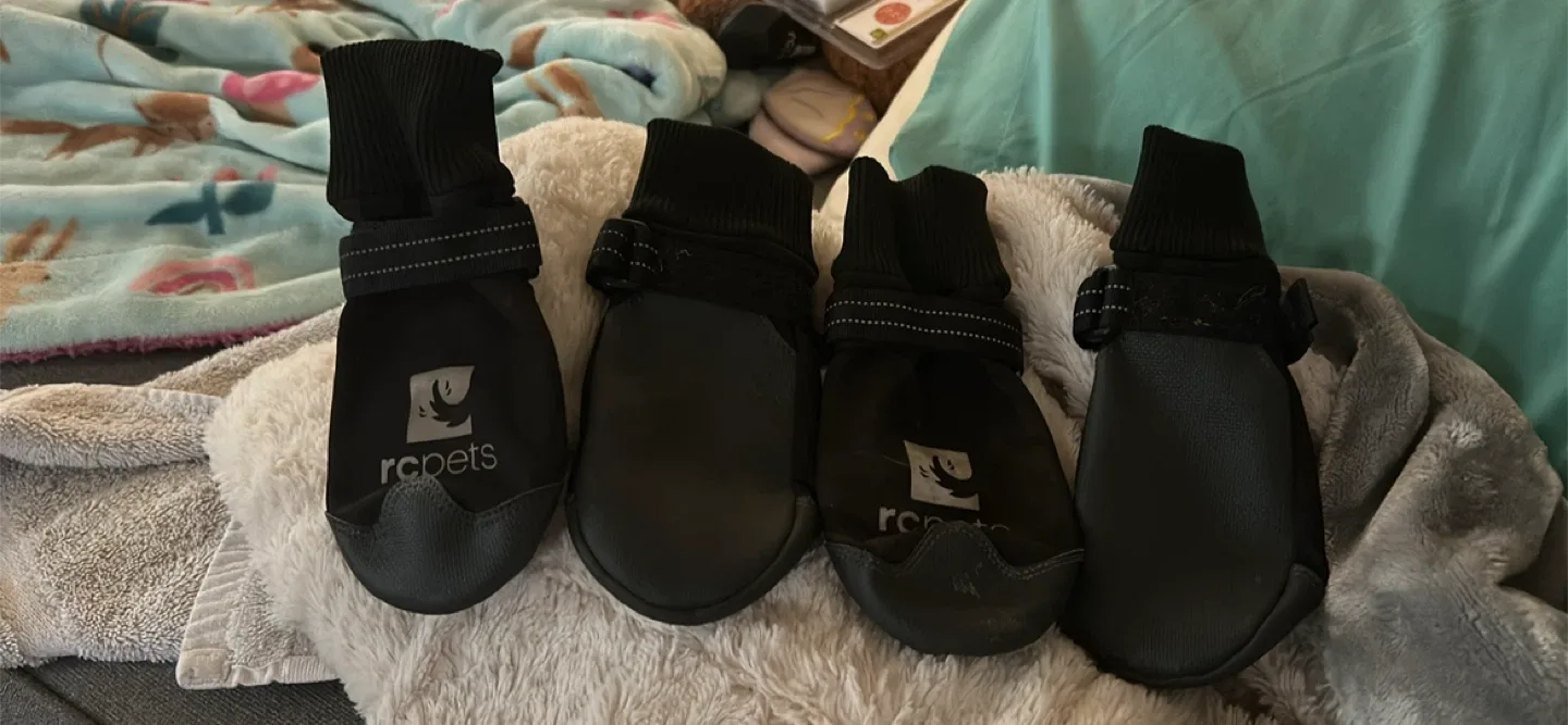 RC Pets Dog Boots - Set of Four