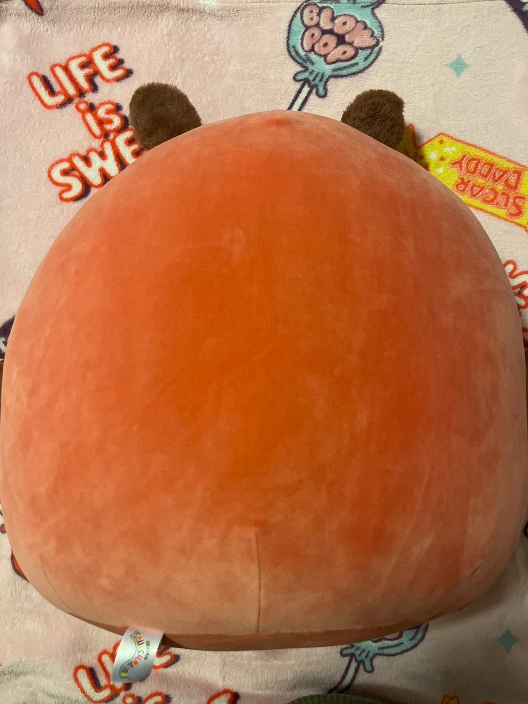 16” Mirren the Moth Squishmallow  (NWT) image indicator(3)