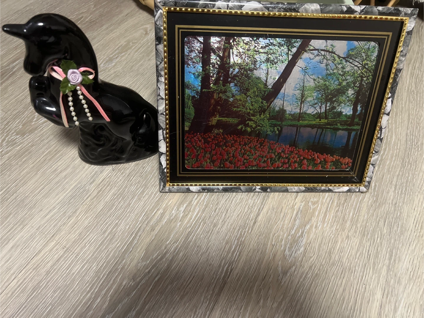 Picture Frame & Black Duck Figurine