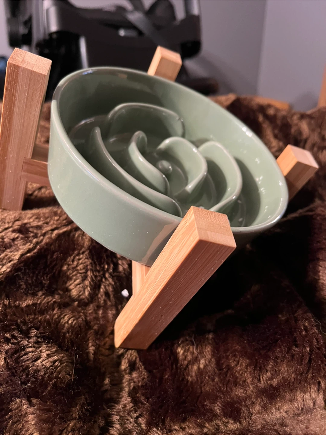 Elevated Slow Feeder Dog Bowl - Green 6.7 inch