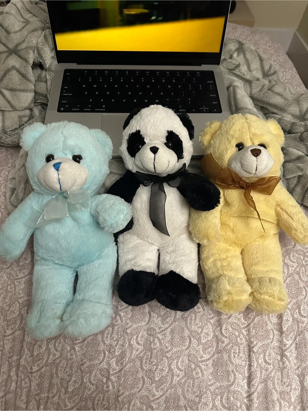 Cute Plush Teddy Bears thumbnail