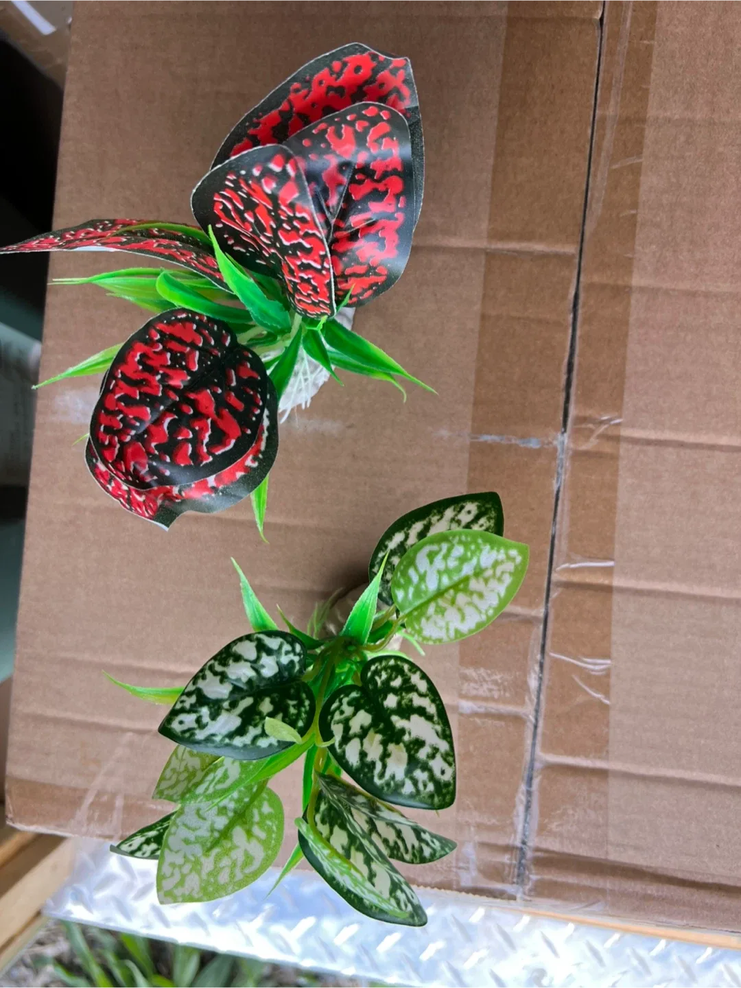 Aquarium Plants - Decorative image indicator(2)