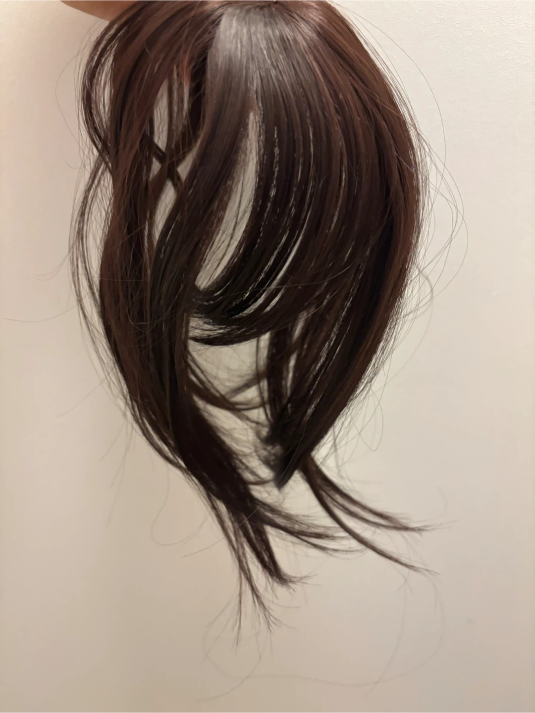 Hair clip in French bangs. Black brown color