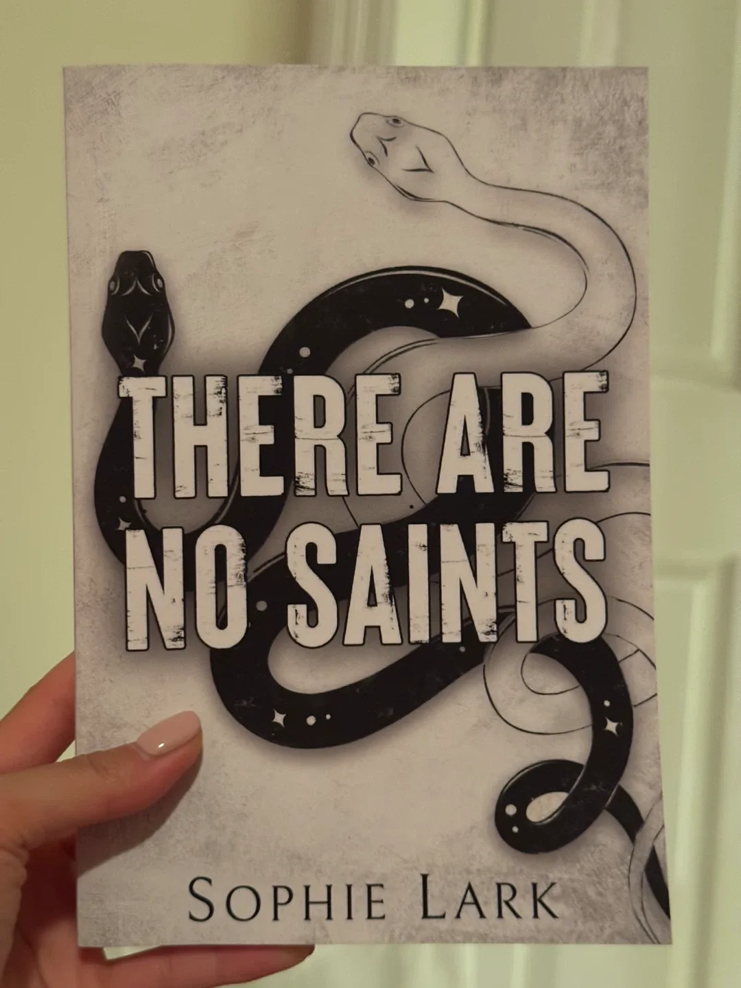 Book - There Are No Saints by Sophie Lark thumbnail