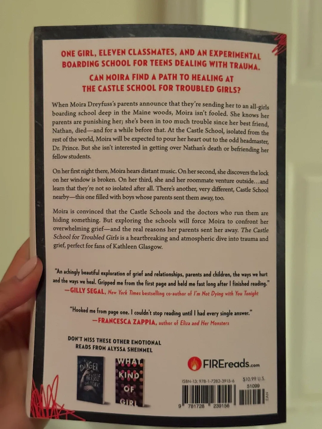 Book - The Castle School for Troubled Girls by Alyssa Sheinmel image indicator(2)