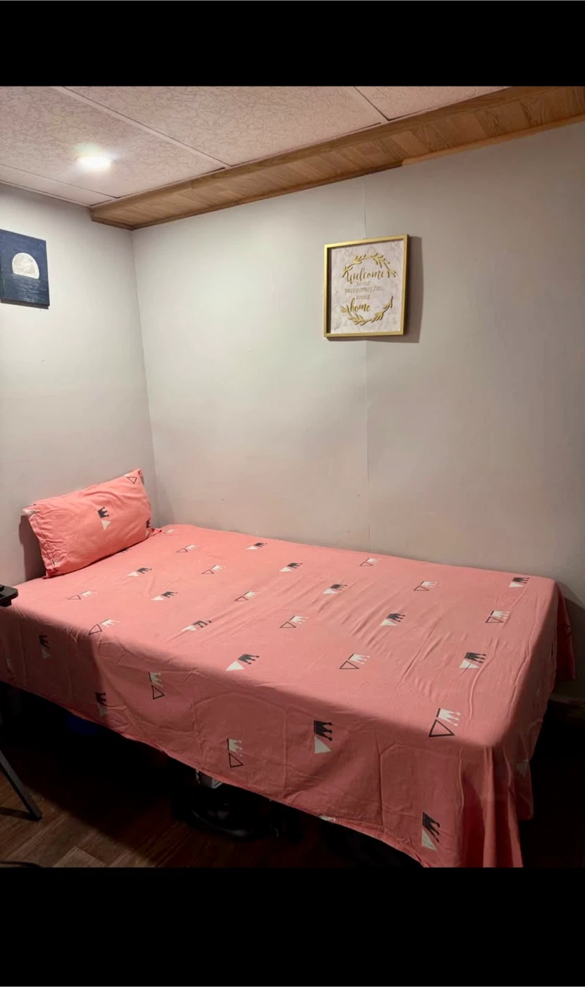 Single bed frame and mattress