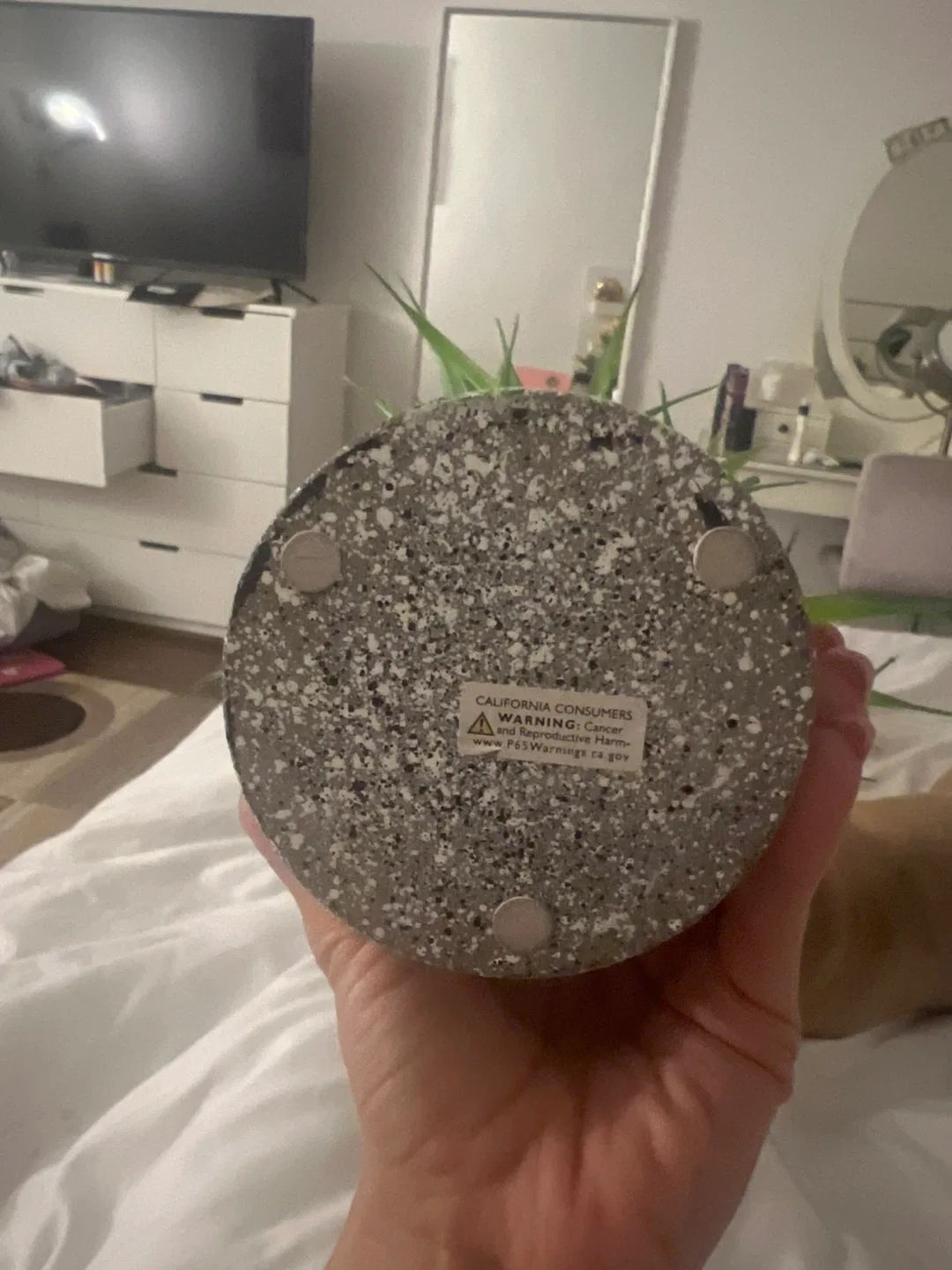 Faux Potted Plant image indicator(2)