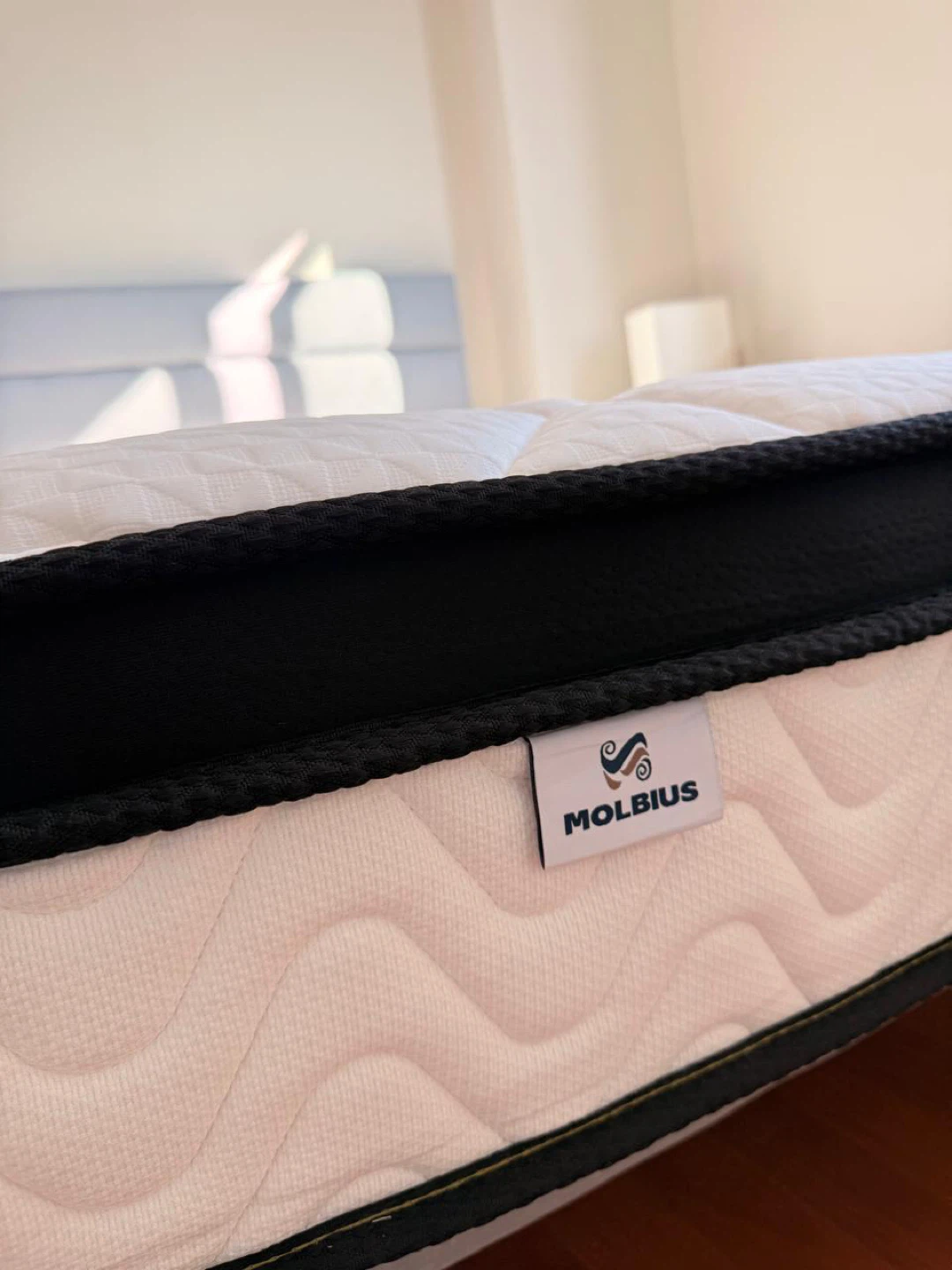 Queen size bed (Molbius Mattress&frame) - photo 3