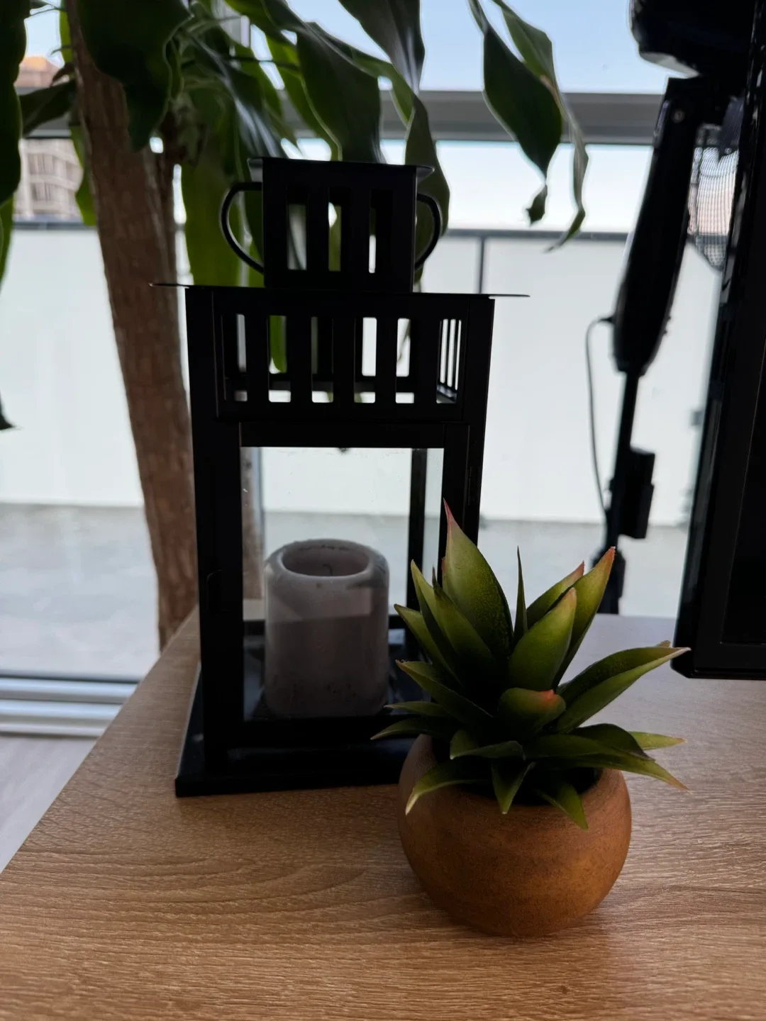 Black Metal Lantern with little plant thumbnail