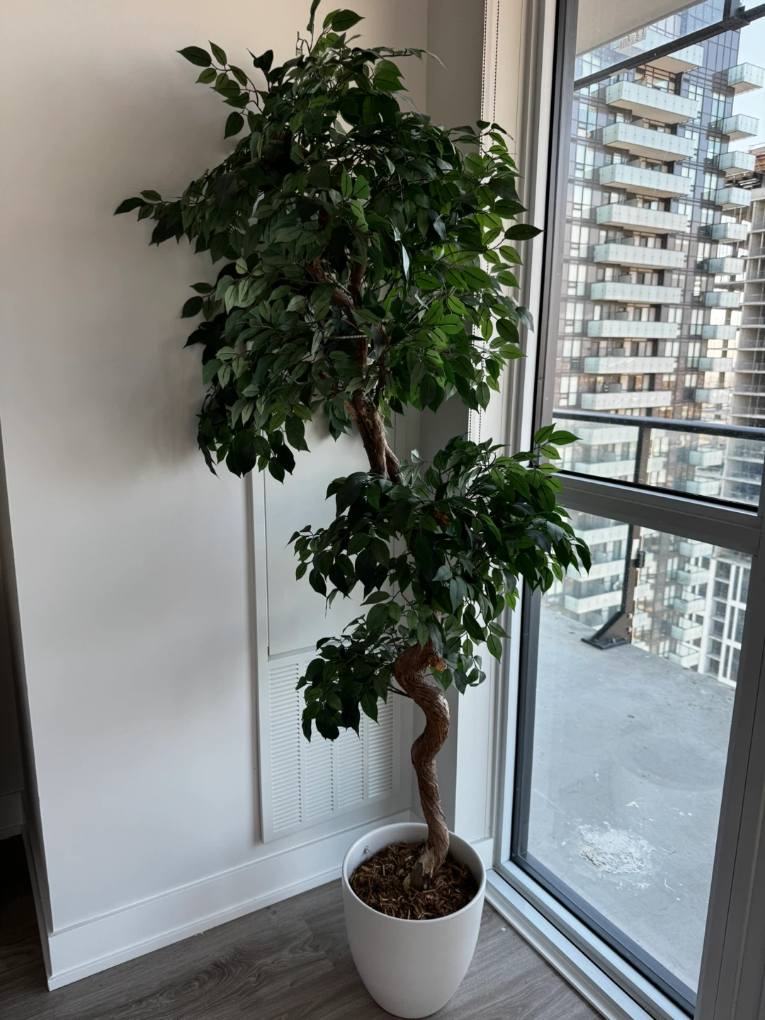 Faux Ficus Tree in White Pot - photo 2