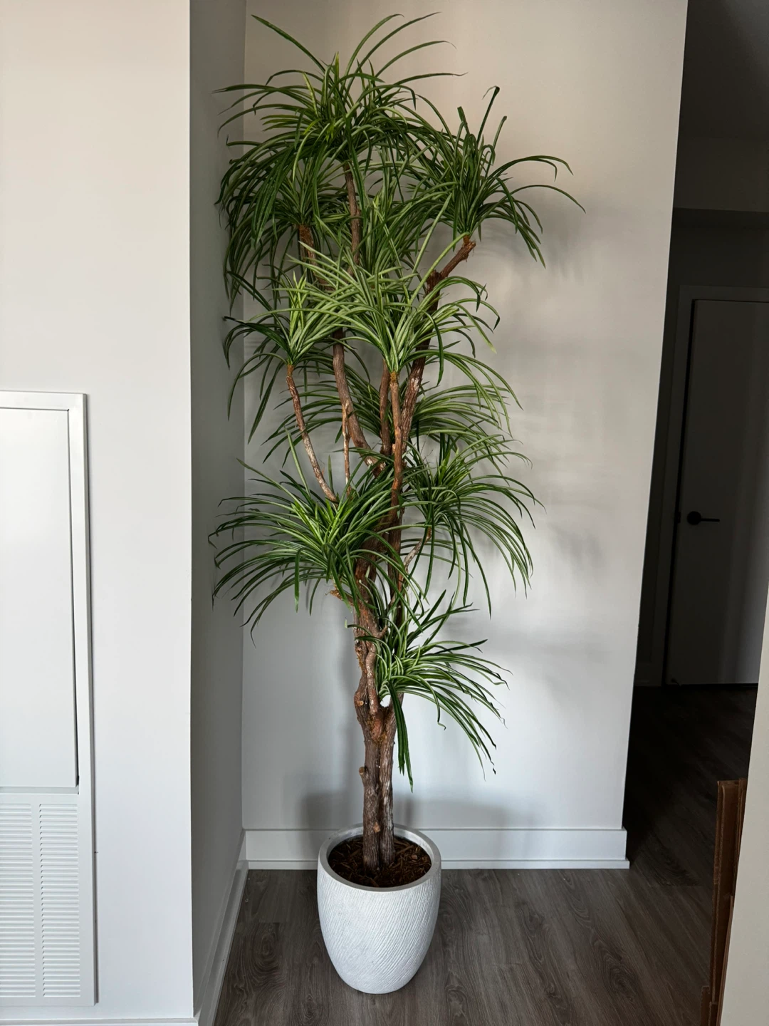Faux Floor Tree in White Pot