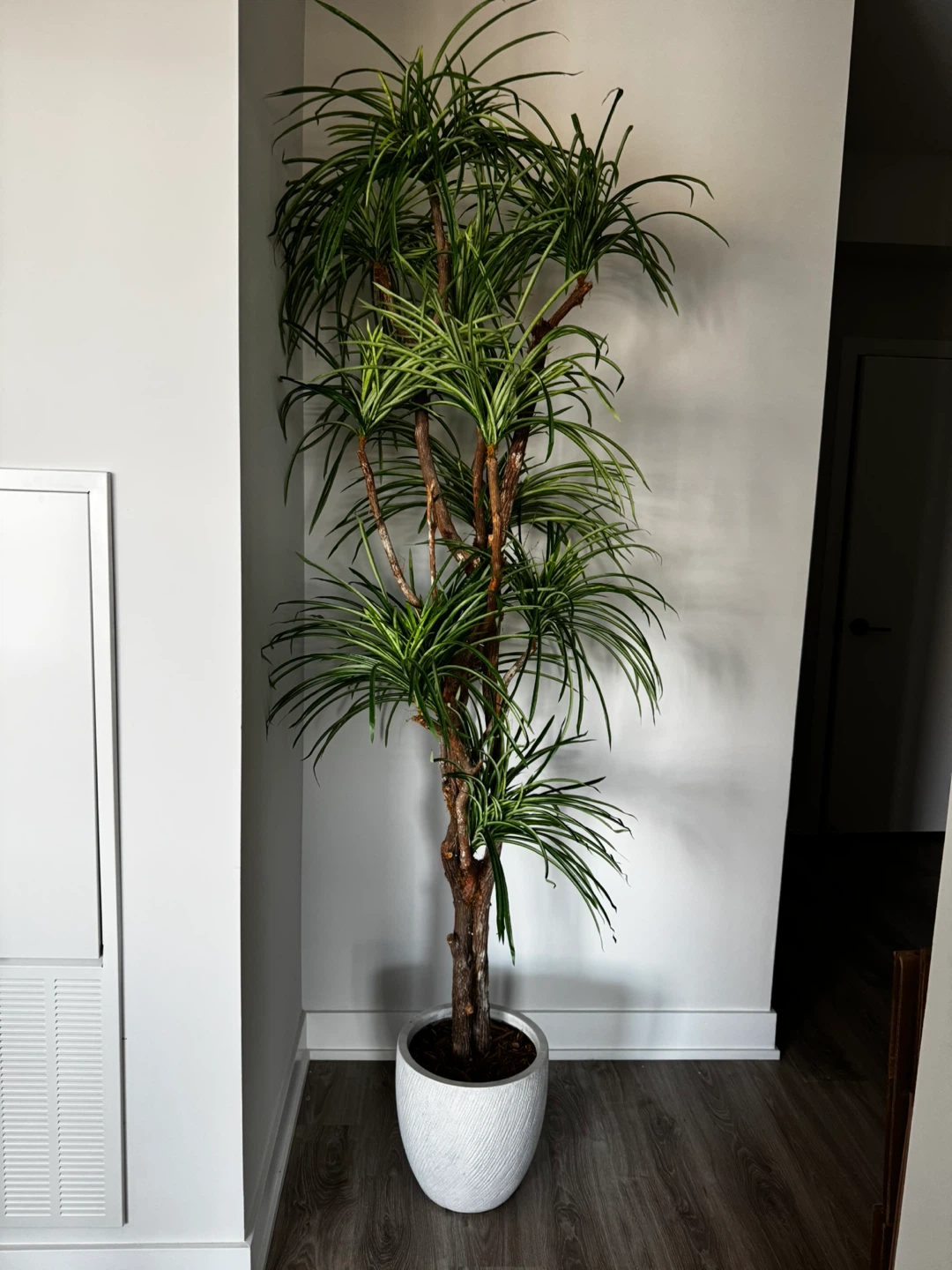 Faux Floor Tree in White Pot - photo 2