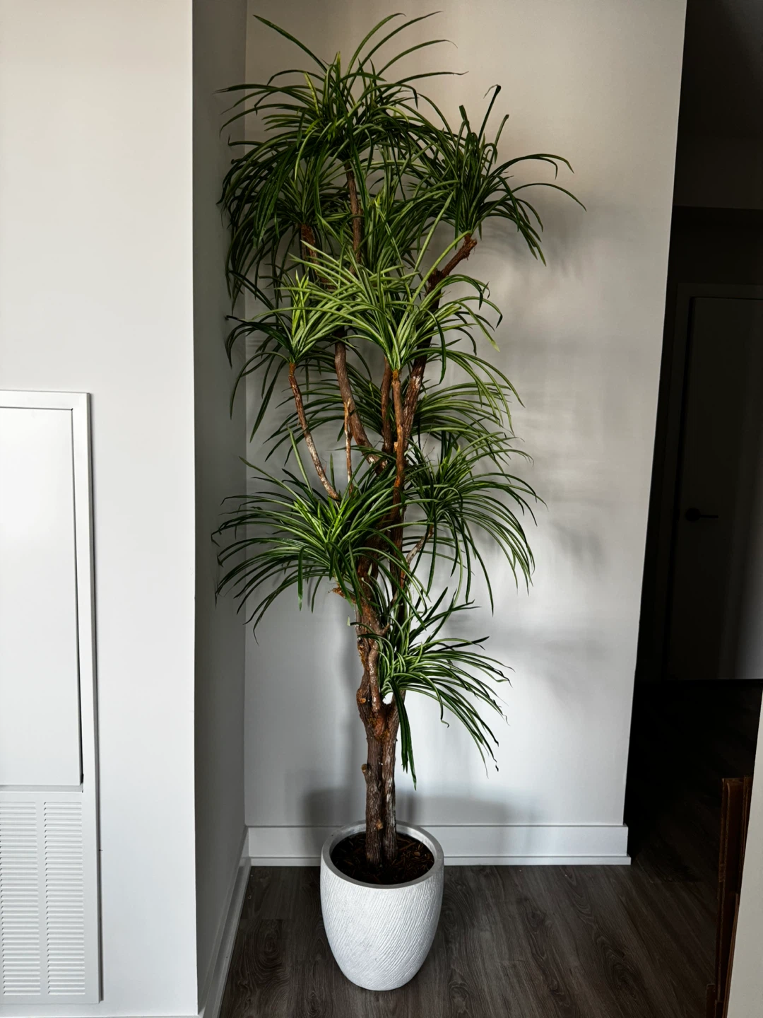 Faux Floor Tree in White Pot - photo 3