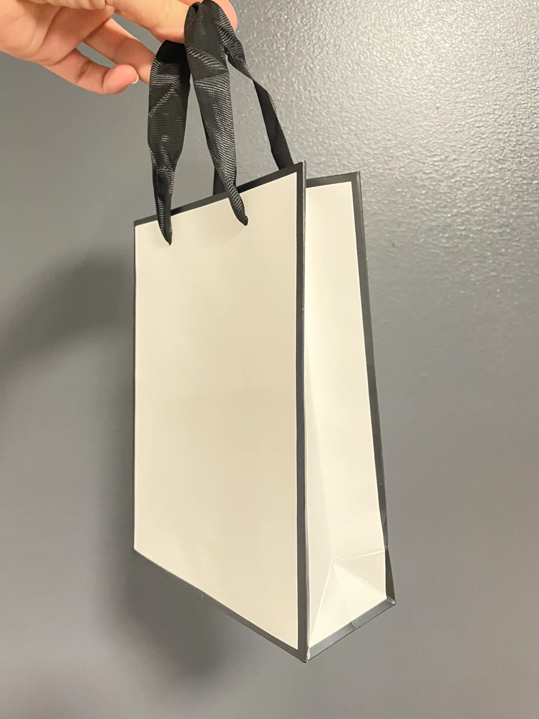 Small Gift Bag with Black Handles