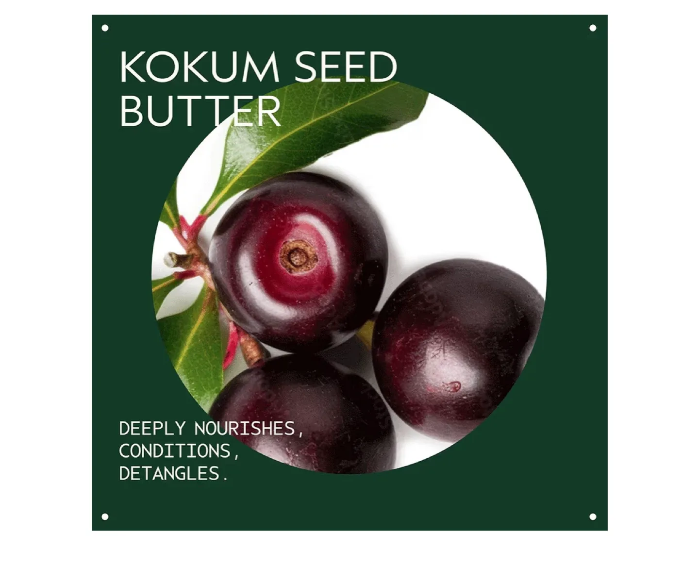 Aveda Be Curly Advanced Conditioner image indicator(3)