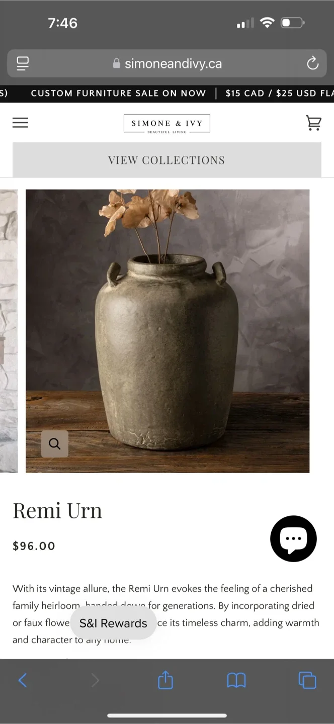 Simone and ivy vase & twigs image indicator(3)