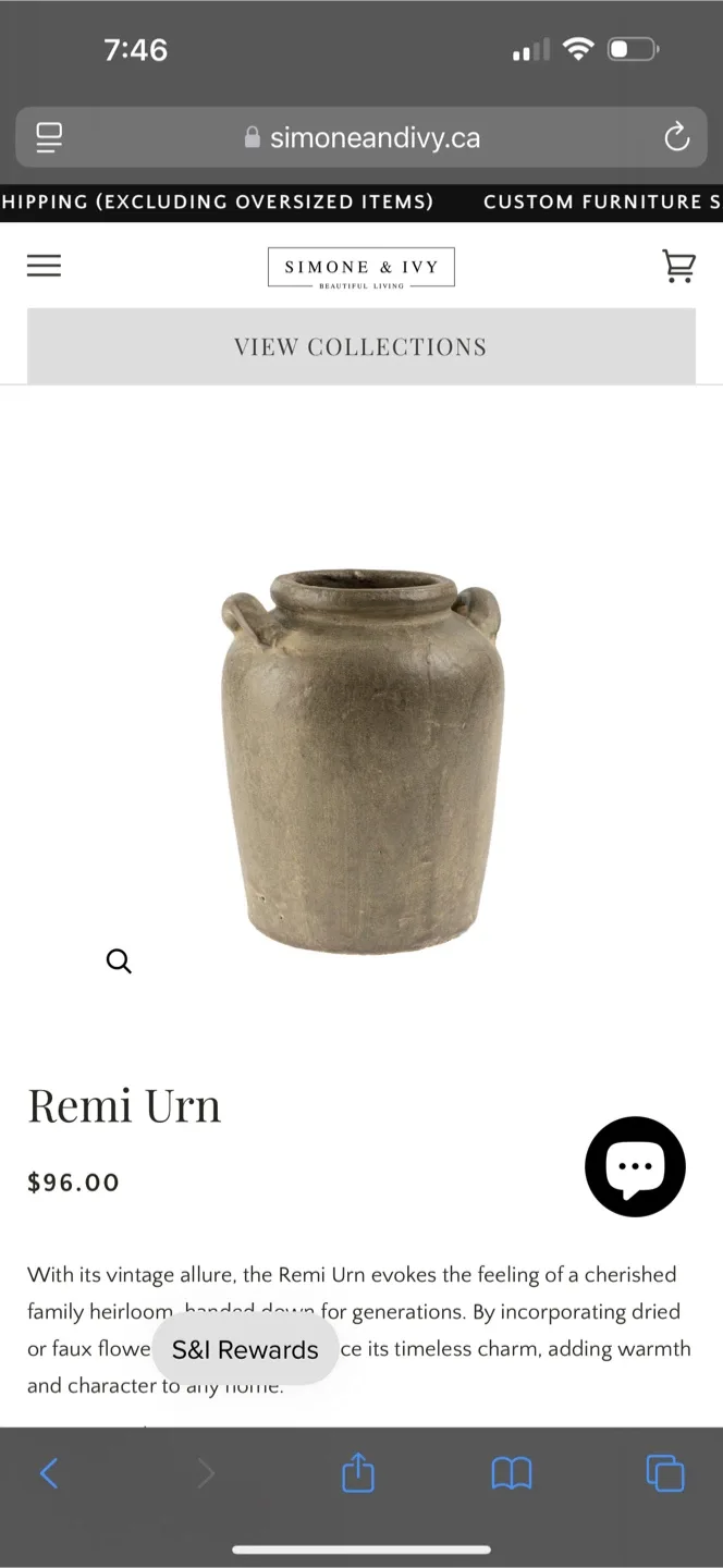 Simone and ivy vase & twigs image indicator(2)