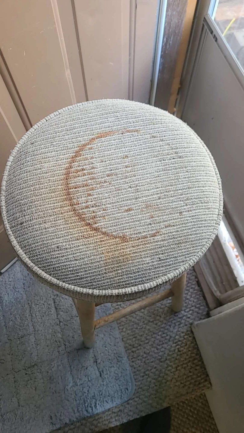 Upholstered Bar Stool - photo 2