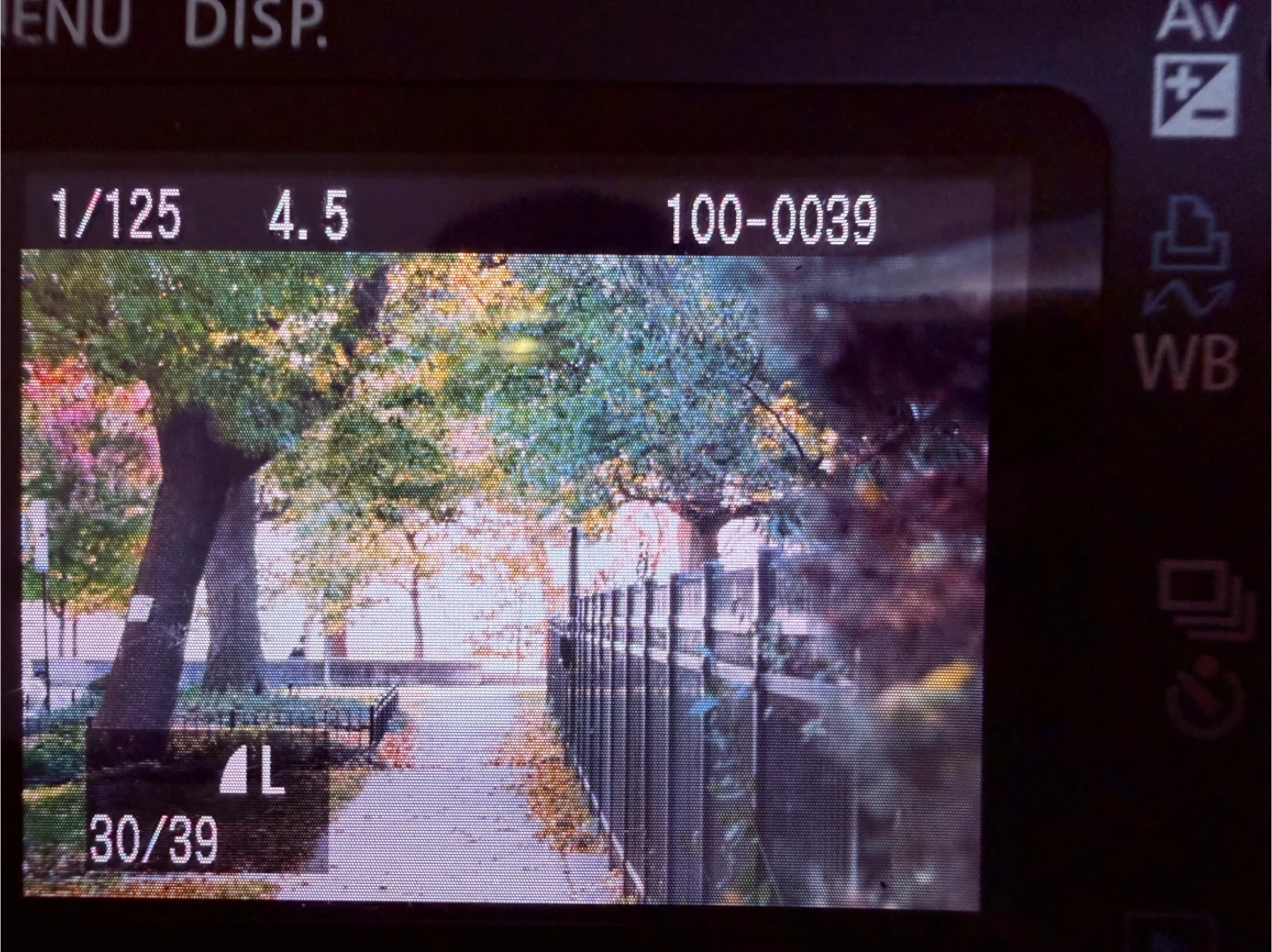 Canon EOS Rebel T6 DSLR Camera - photo 3