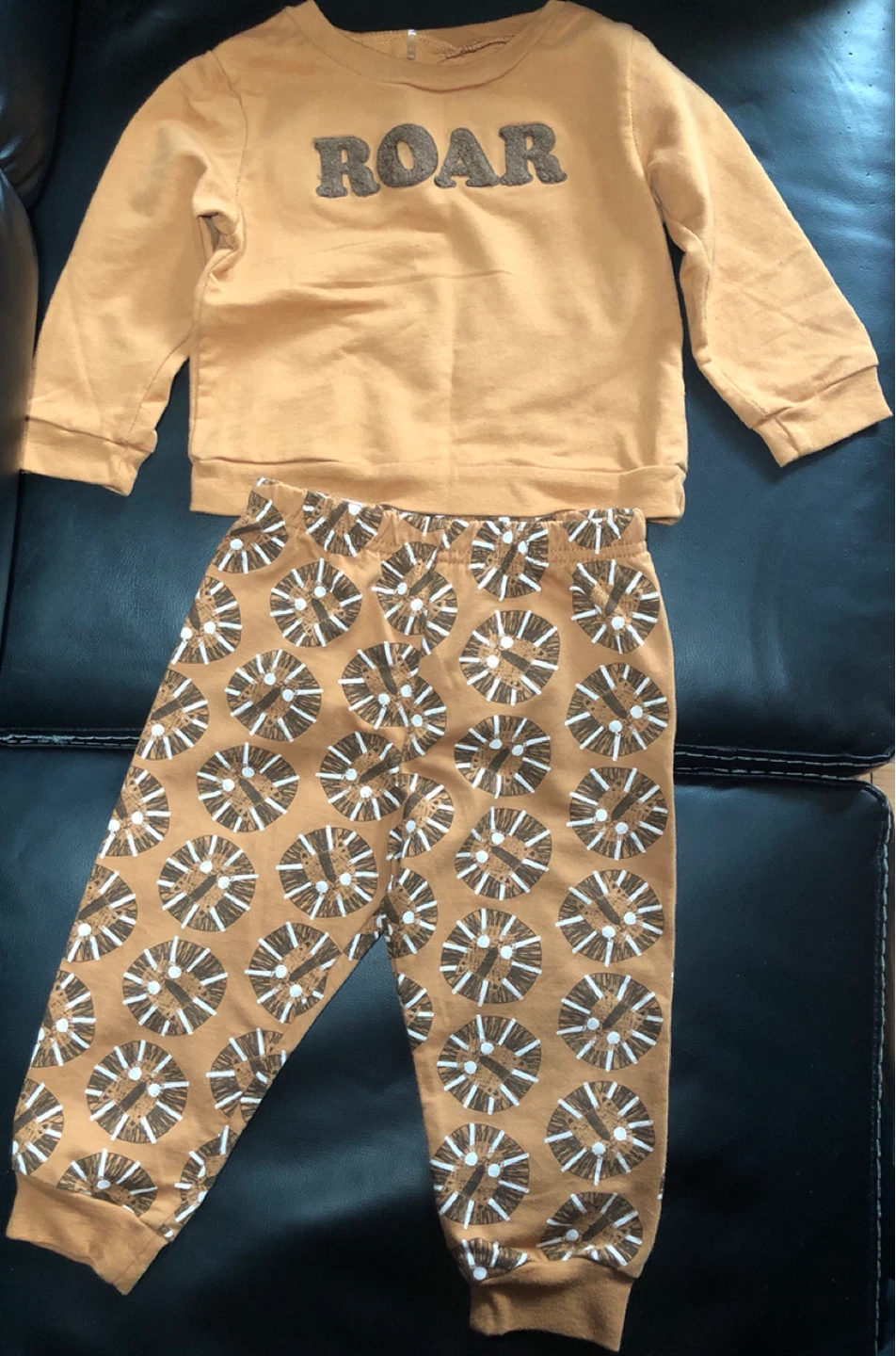 'Roar' Outfit Set - Size 24M - photo 2
