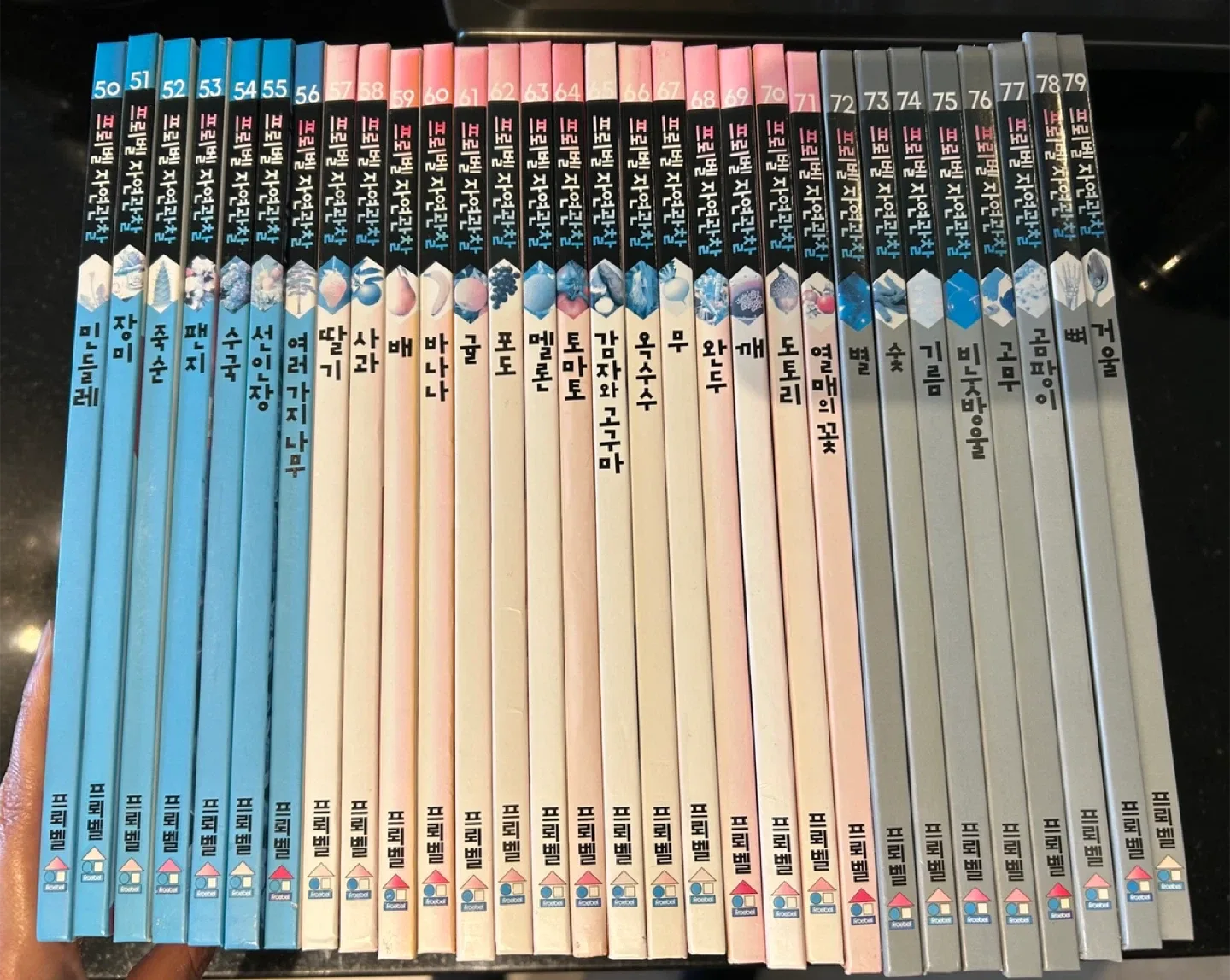 프뢰벨 자연관찰 (Froebel nature observation) image indicator(2)