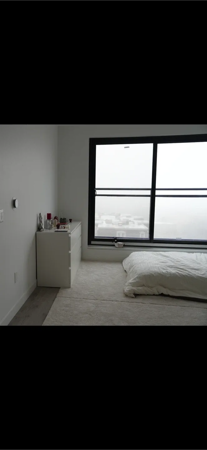 Last Call - 2 large IKEA carpets image indicator(2)