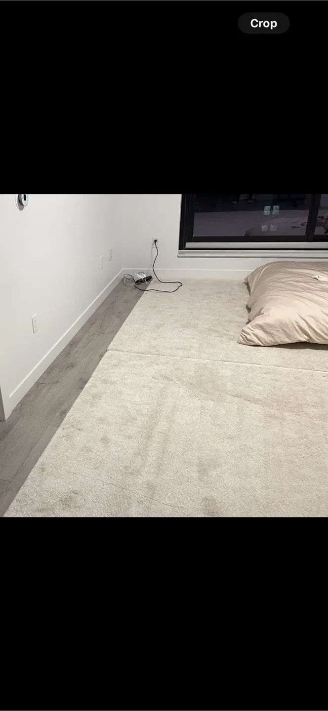 Last Call - 2 large IKEA carpets image indicator(5)