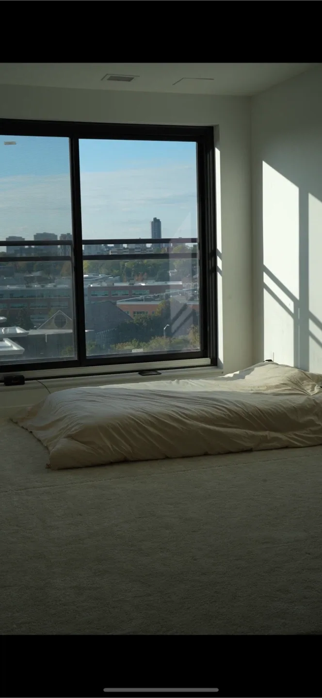 Last Call - 2 large IKEA carpets image indicator(4)