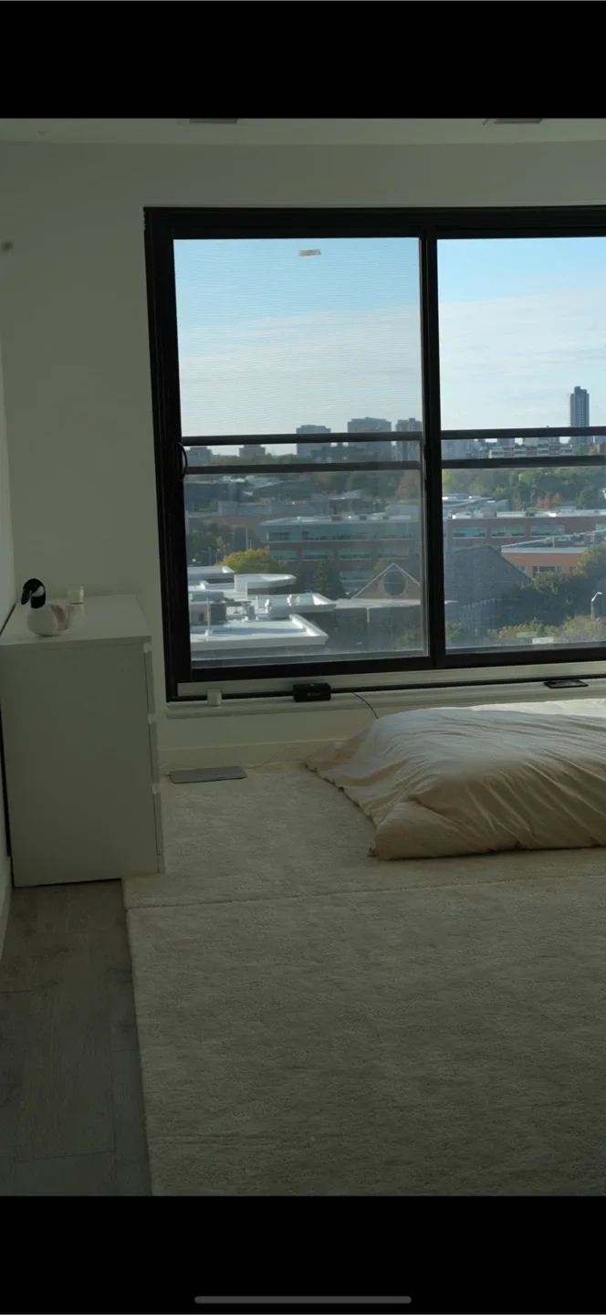 Last Call - 2 large IKEA carpets image indicator(3)