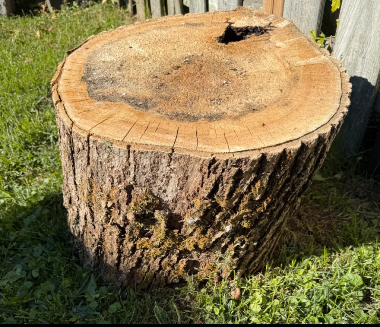Free firewood image indicator(2)