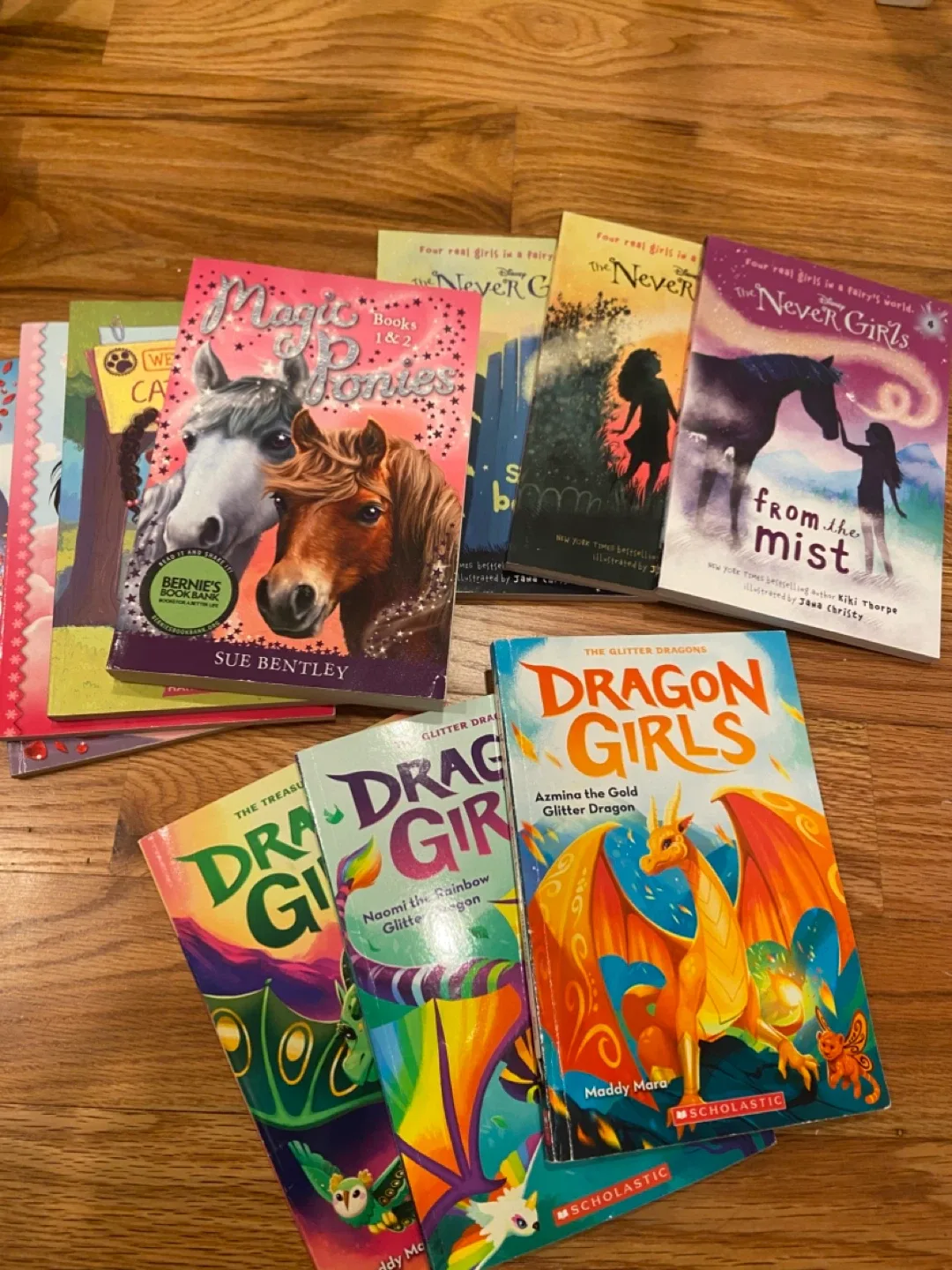 Magic Ponies, Never Girls, Dragon Girls Books