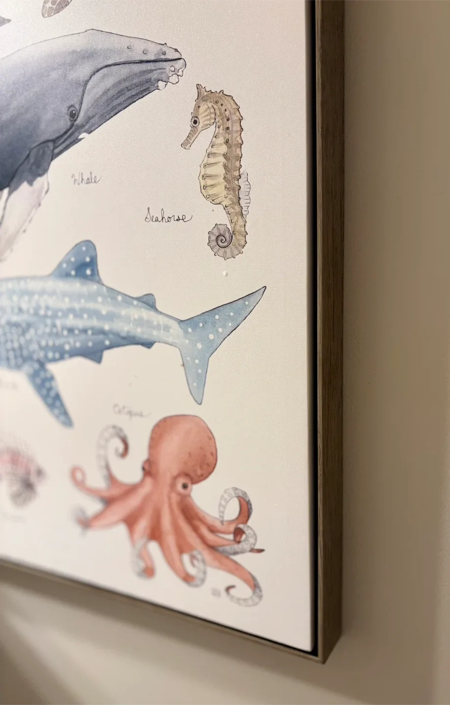 Sea Creature Artwork image indicator(2)