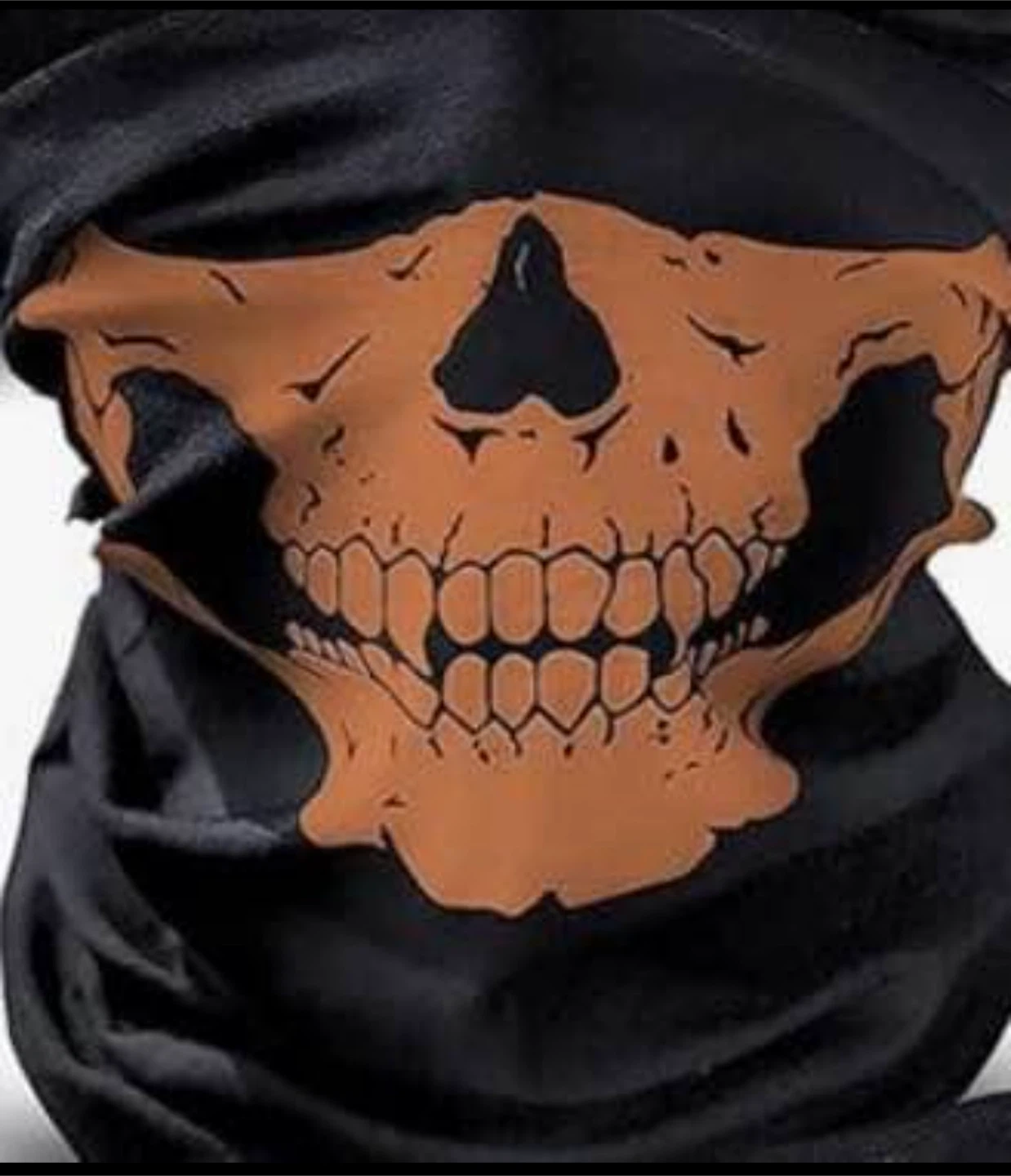 Skull Face Mask