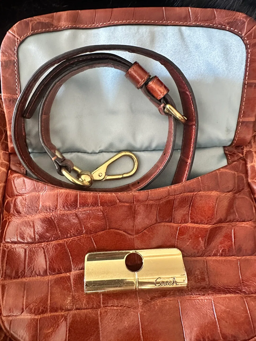 Limited edition Coach crocodile Leather Shoulder Bag image indicator(2)