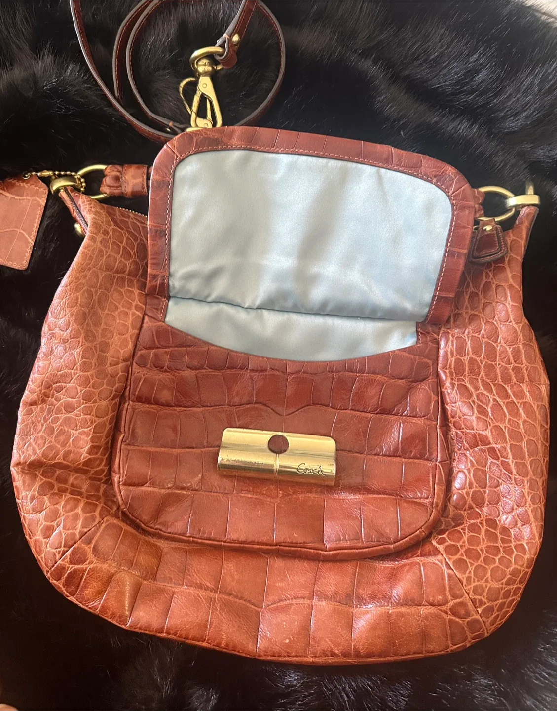 Limited edition Coach crocodile Leather Shoulder Bag image indicator(3)