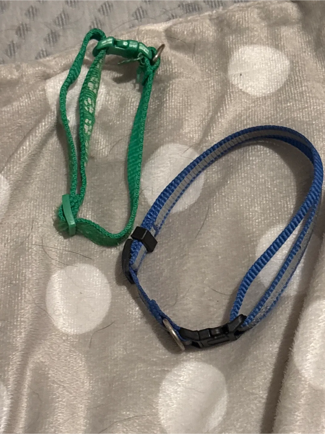 Two Pet Collars - Green & Blue thumbnail