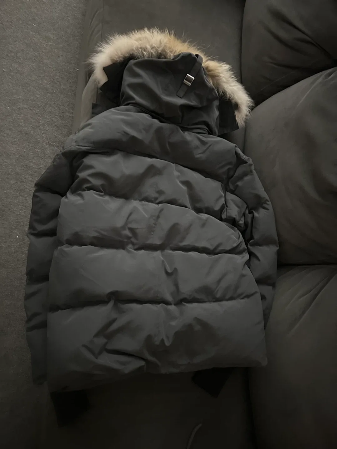 Canada Goose Wyndham Down Jacket - Size L image indicator(4)