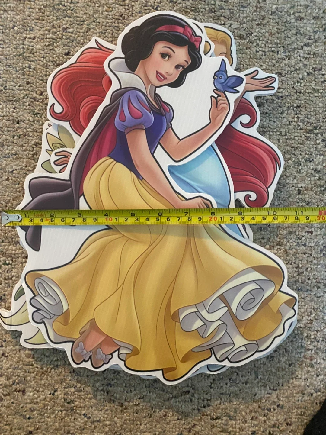 Disney Princess Cardboard Cutouts - Set of 6 image indicator(9)