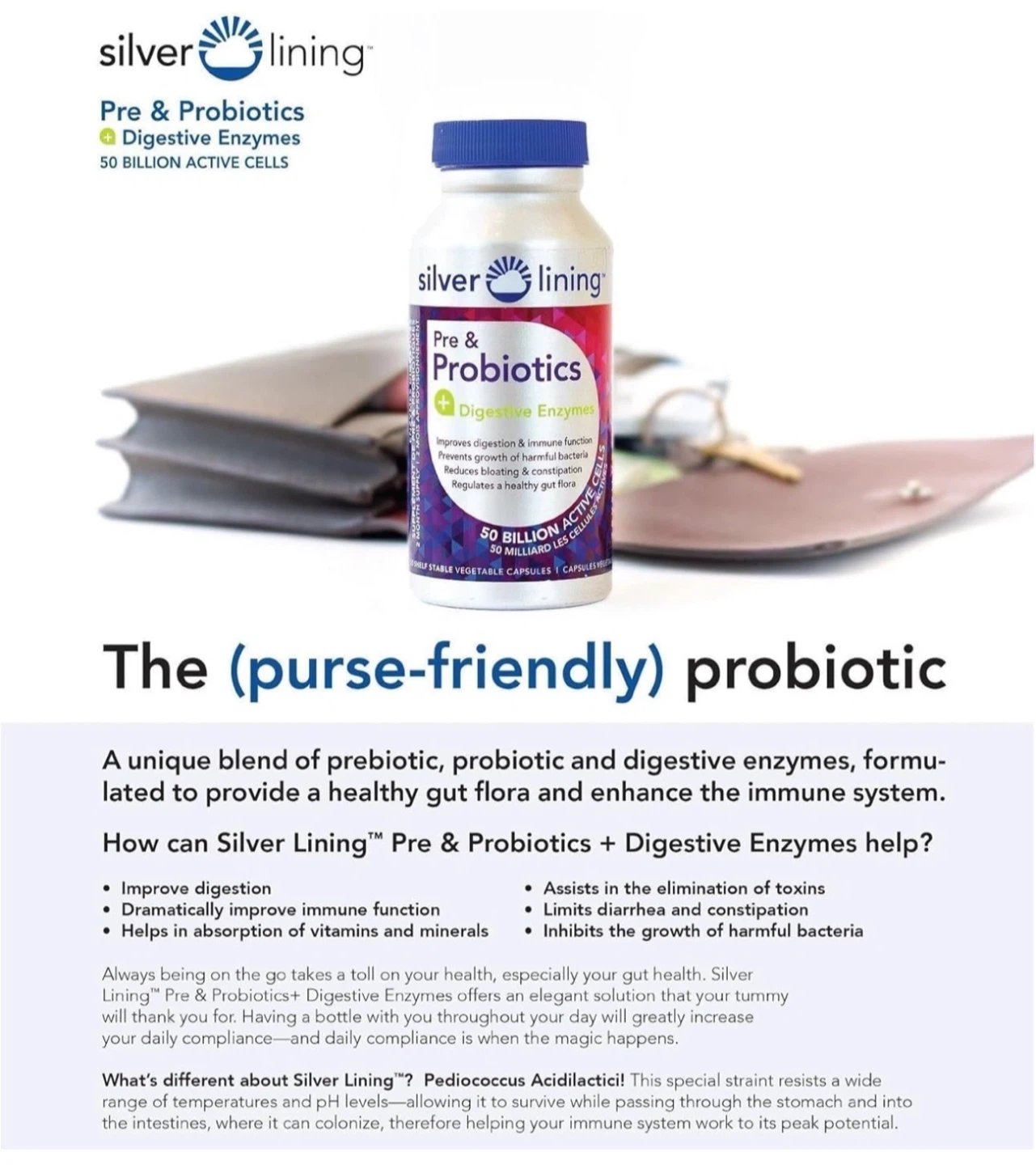 Silver Lining Pre & Probiotics + Digestive Enzymes - photo 5