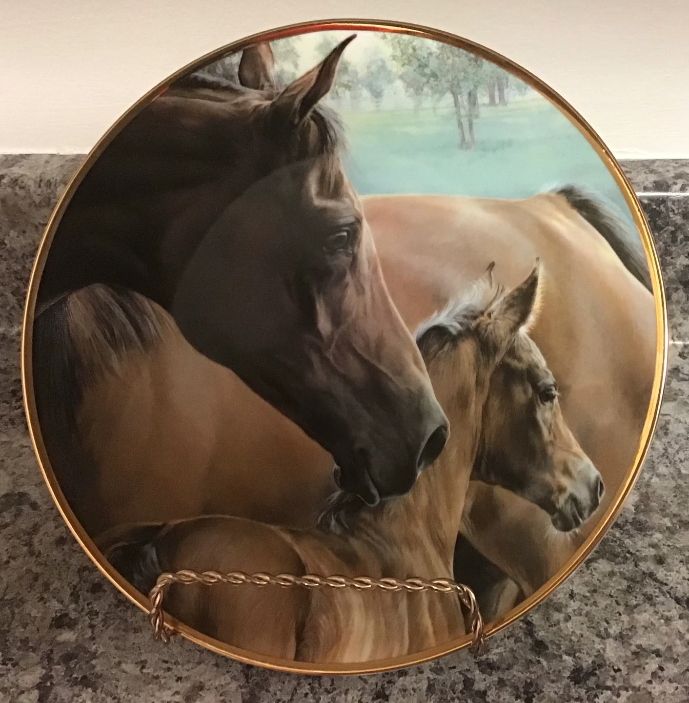 American Artists 'The Kidnapped Mare' Plate - photo 5