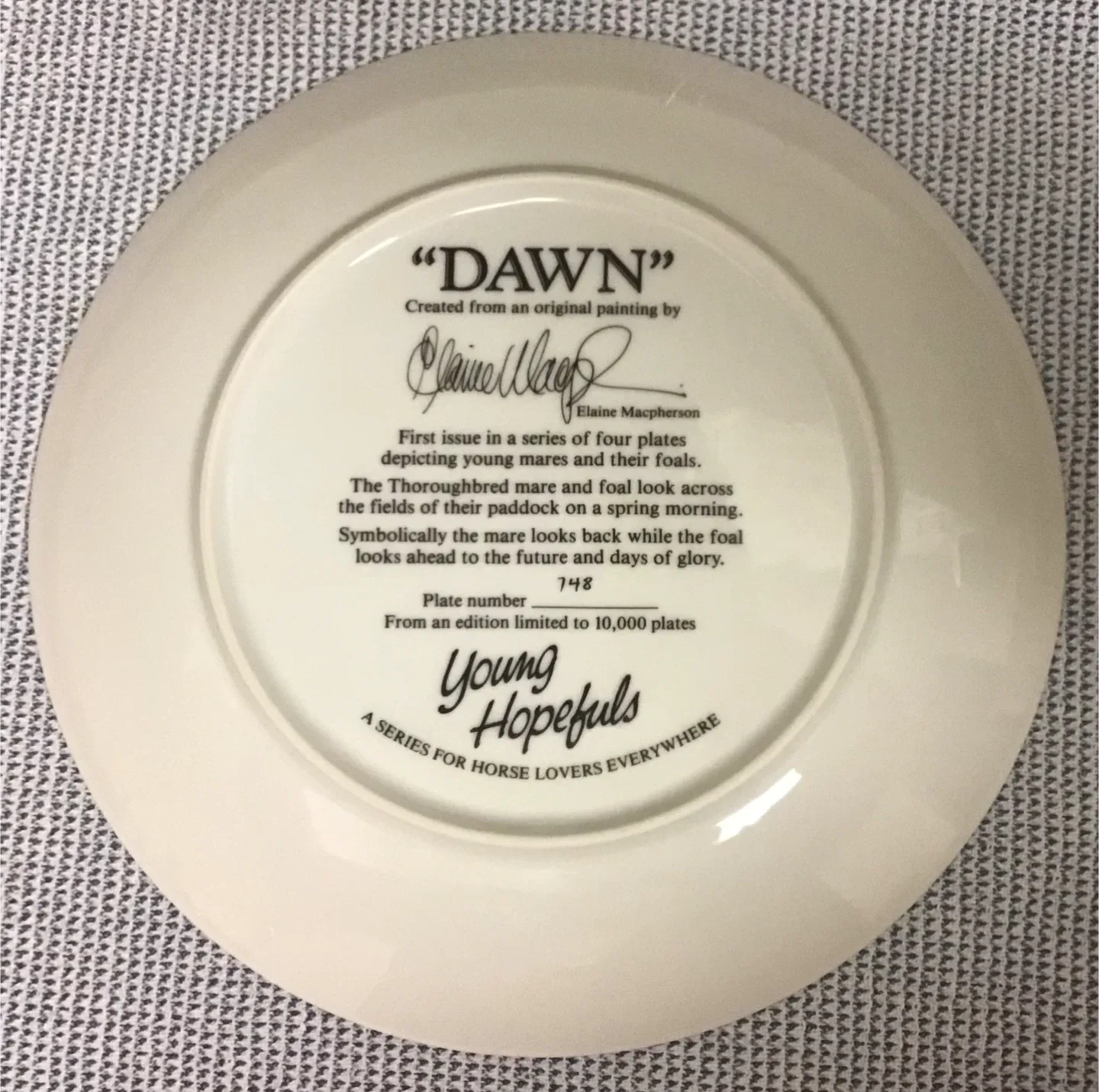 American Artists 'The Kidnapped Mare' Plate image indicator(6)