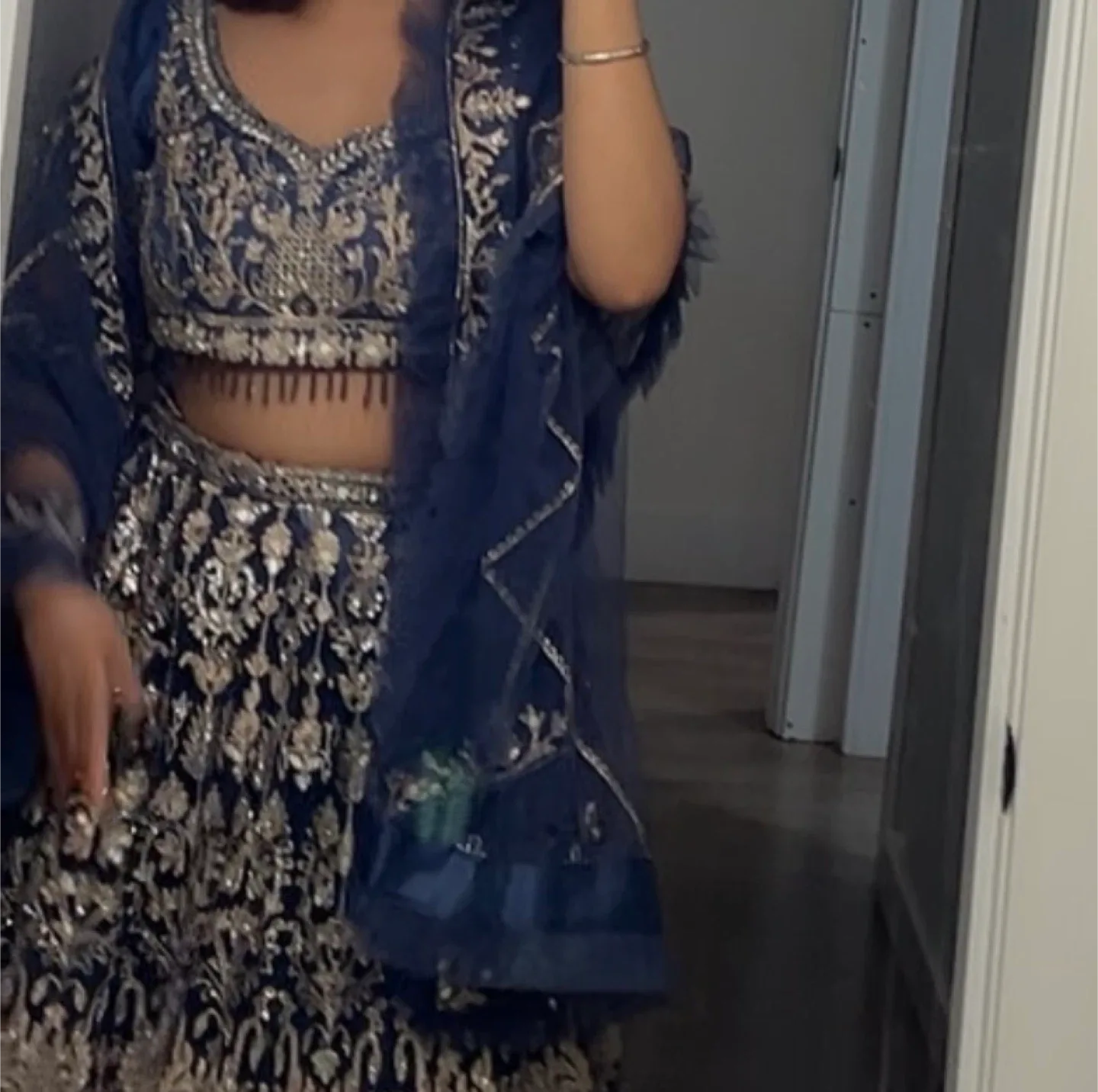 Blue Embroidered Indian Lehenga Choli image indicator(3)