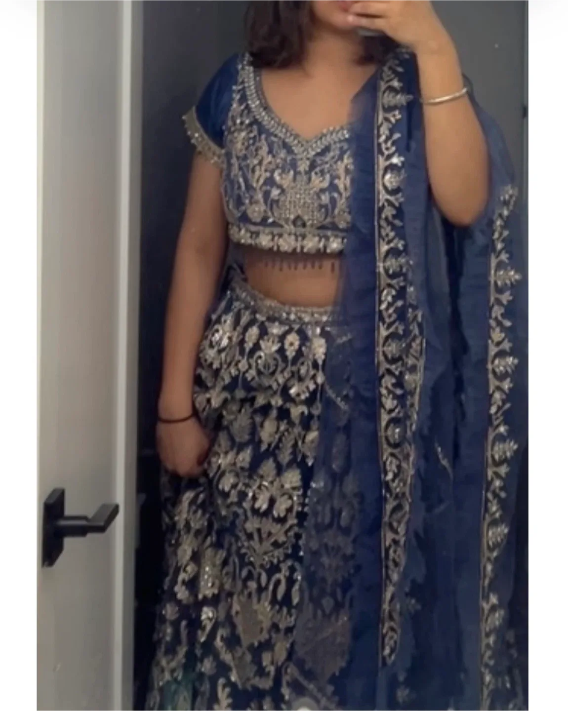 Blue Embroidered Indian Lehenga Choli image indicator(2)